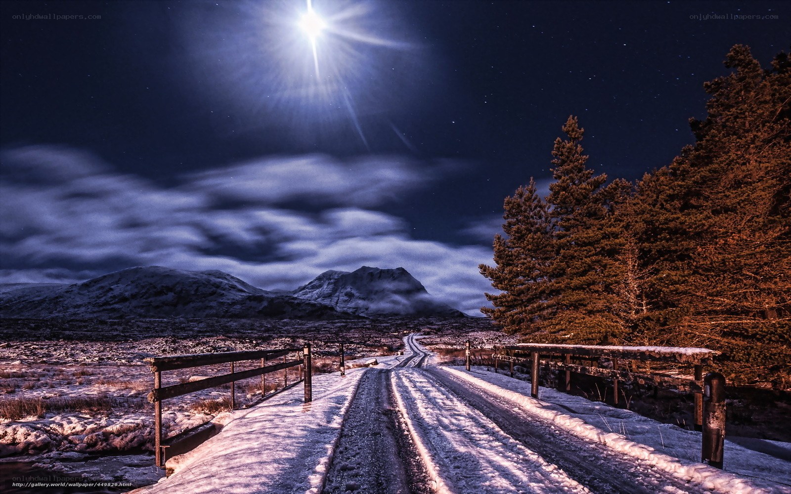 Moonlit Road in Winter