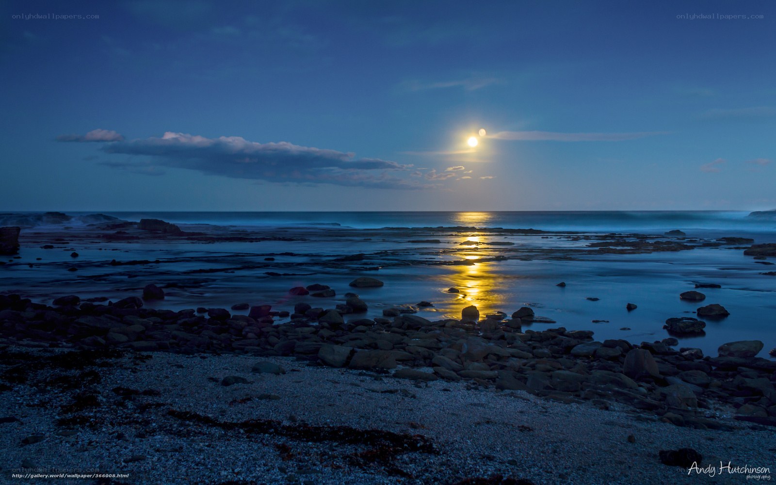 Moonlit rocky beach at night