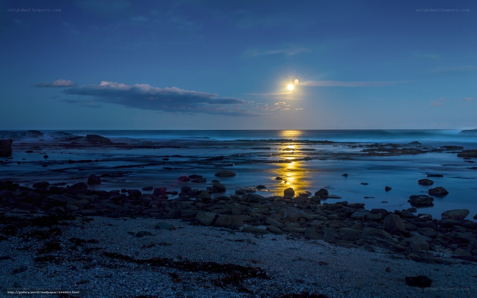 Moonlit rocky beach at night