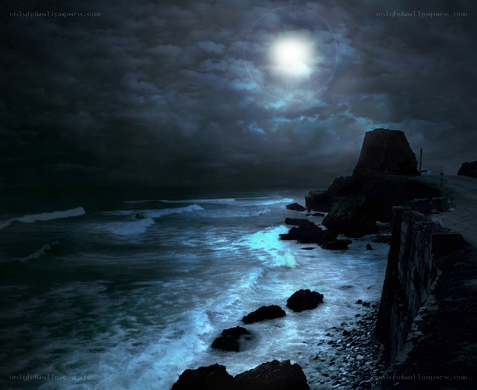 Moonlit rocky coastline at night