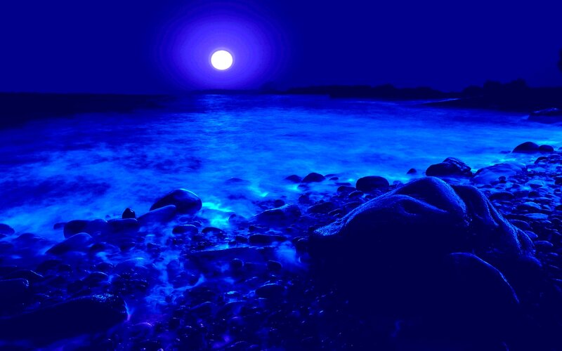 Moonlit Rocky Shore — Blue, Serene