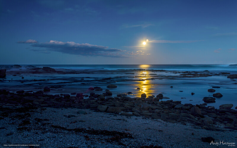 Moonlit Rocky Shoreline — Blue, Serene