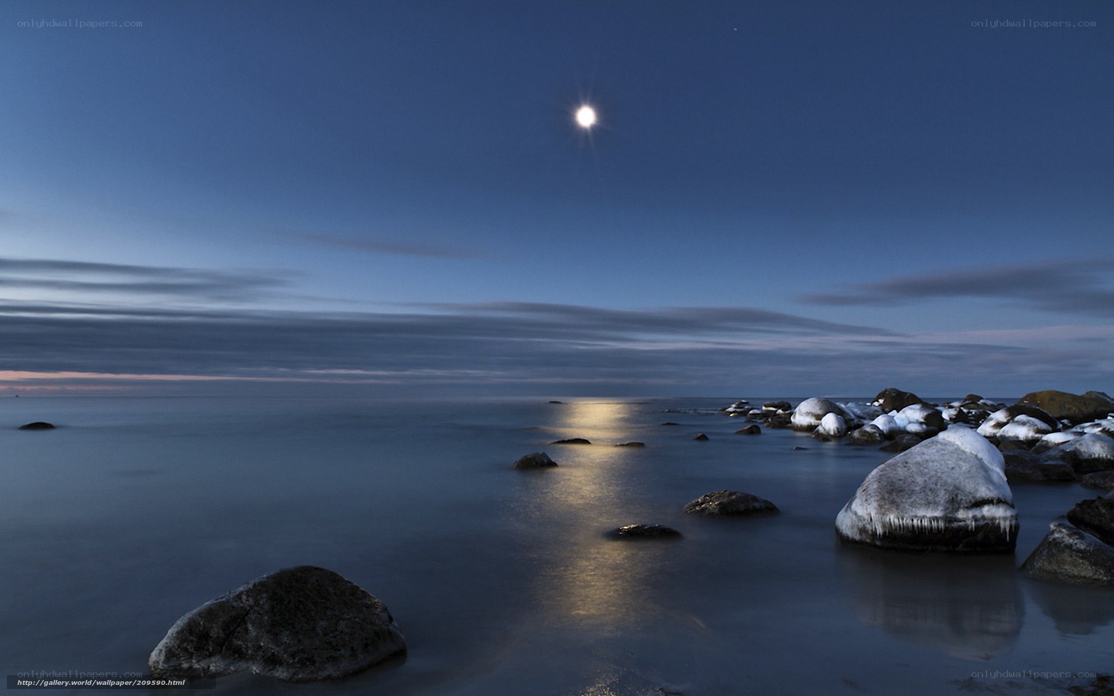 Moonlit rocky shoreline