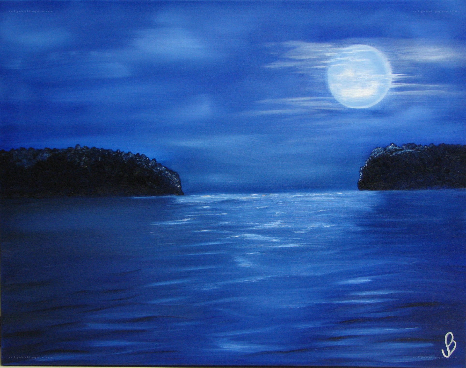 Moonlit sea at night