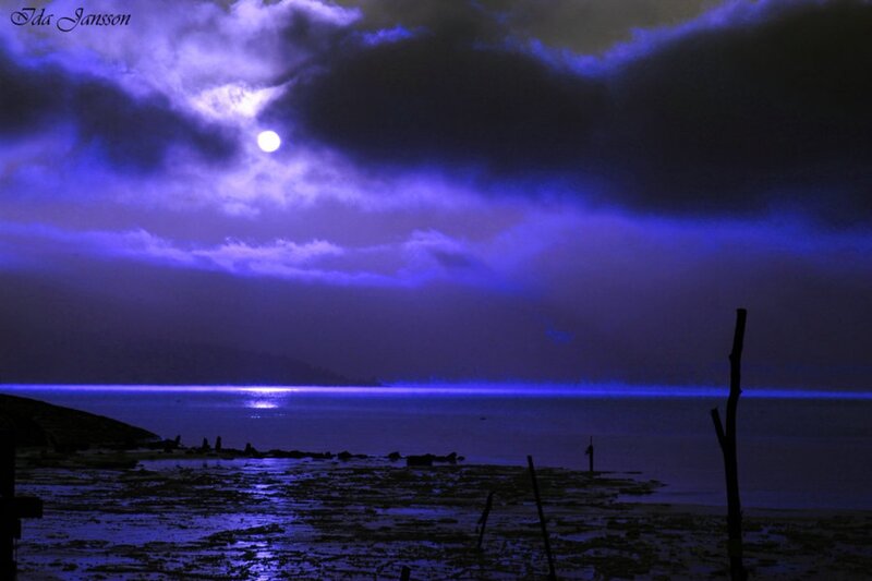 Moonlit Sea at Night — Blue, Dramatic, Photograph