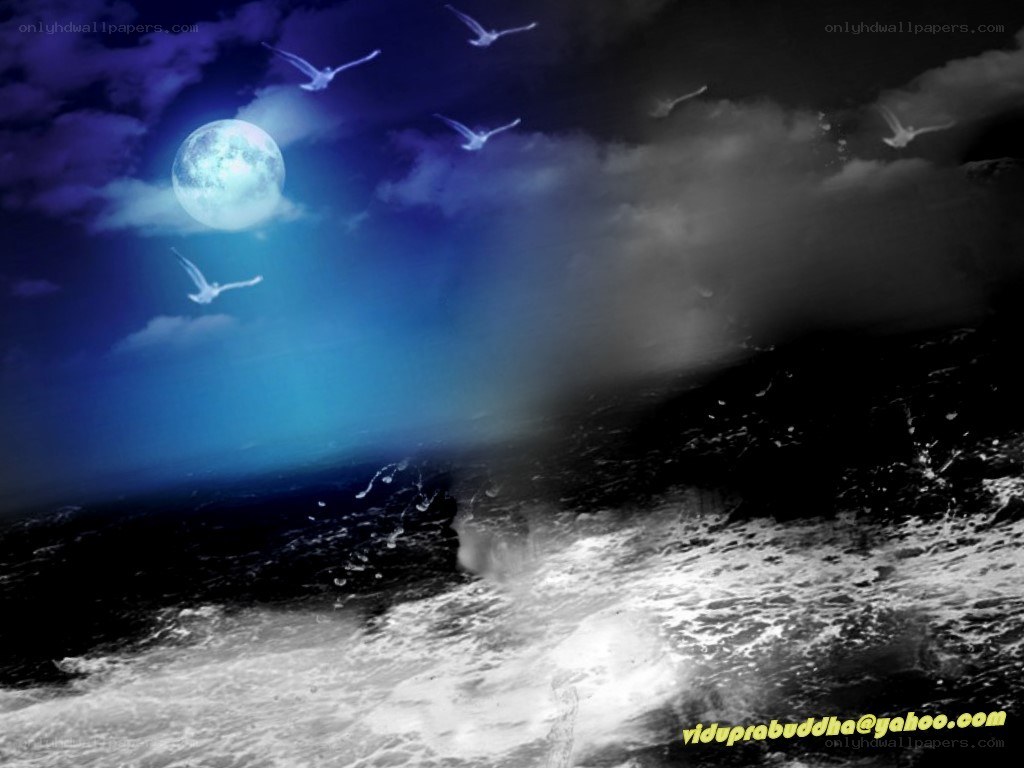 Moonlit Sea with Flying Birds