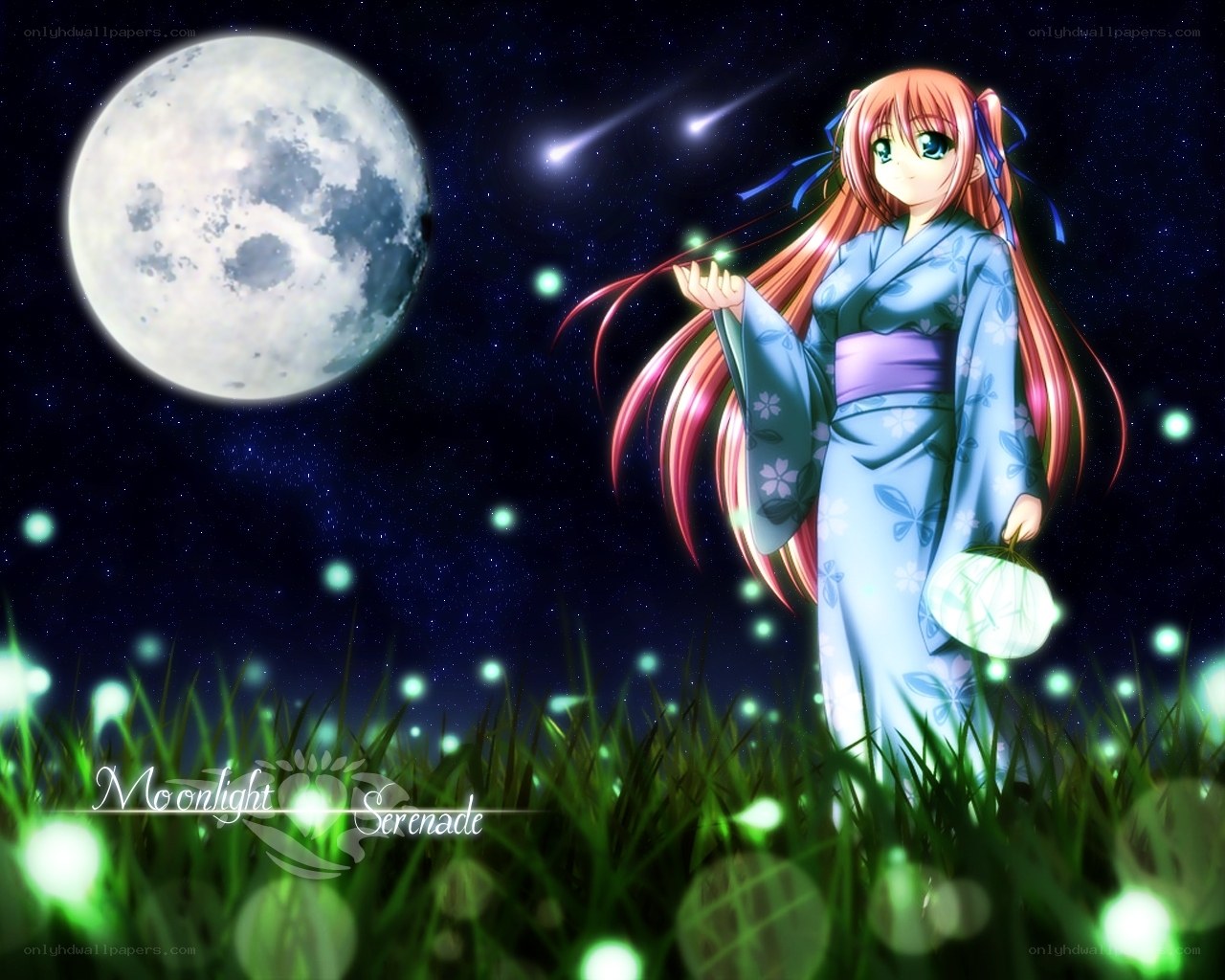 Moonlit Serenade