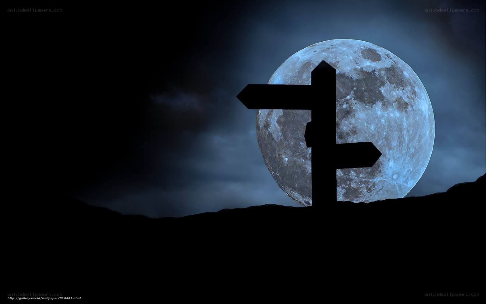 Moonlit signpost silhouette