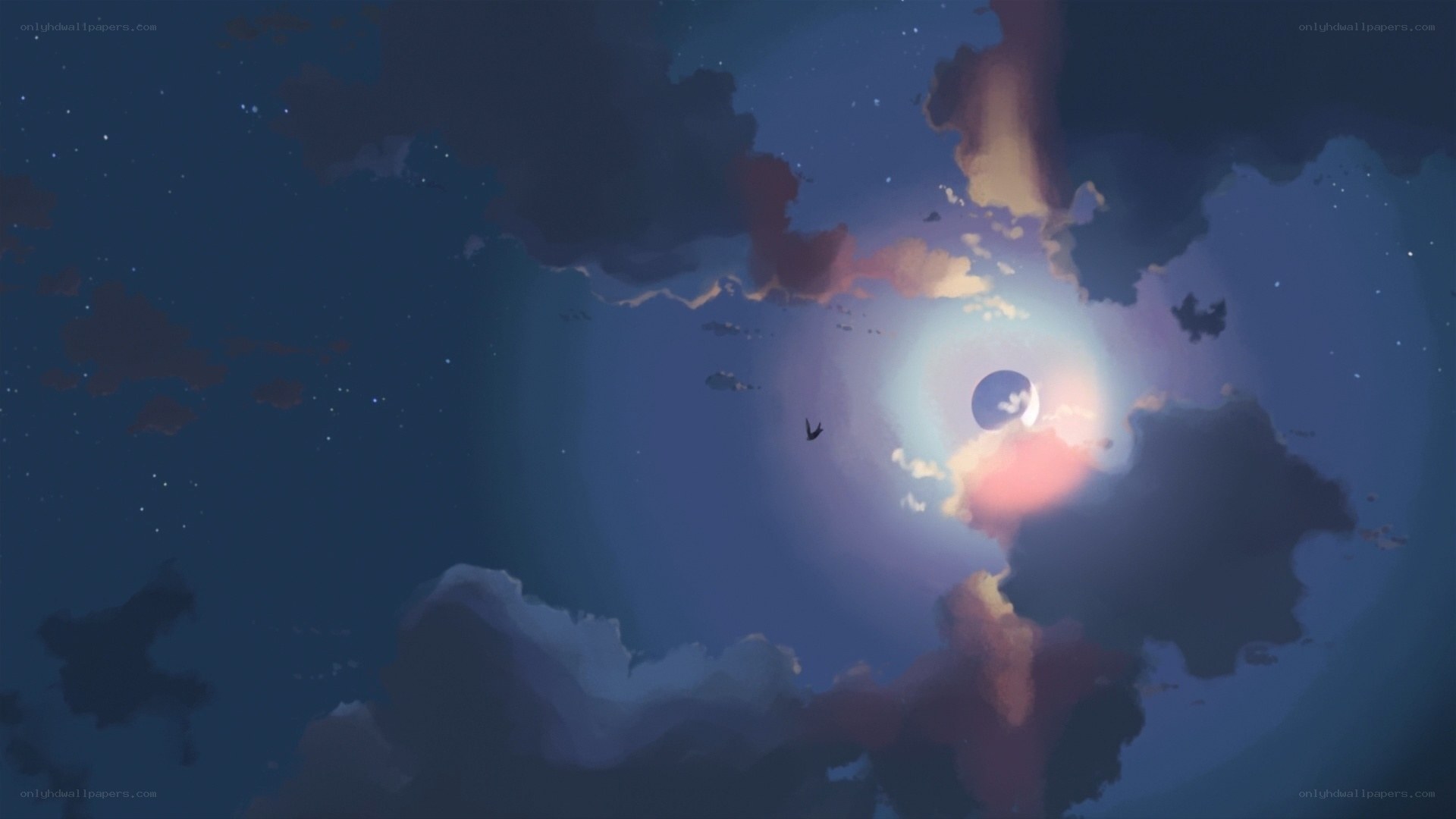 Moonlit sky with bird