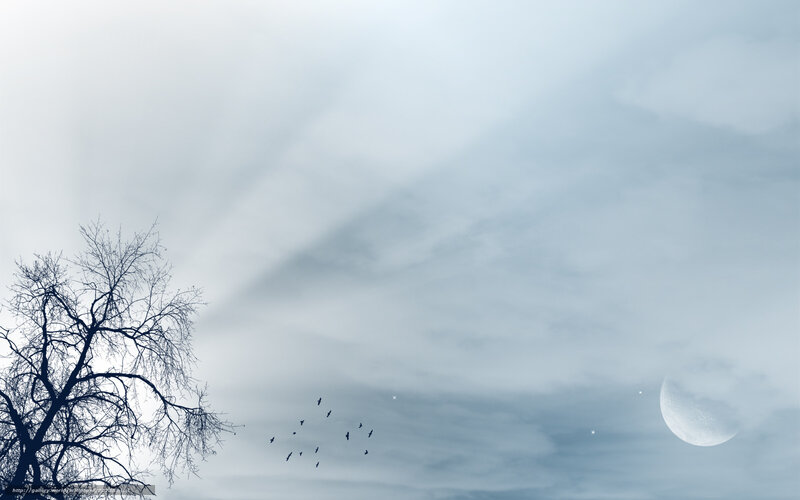 Moonlit sky with birds and tree