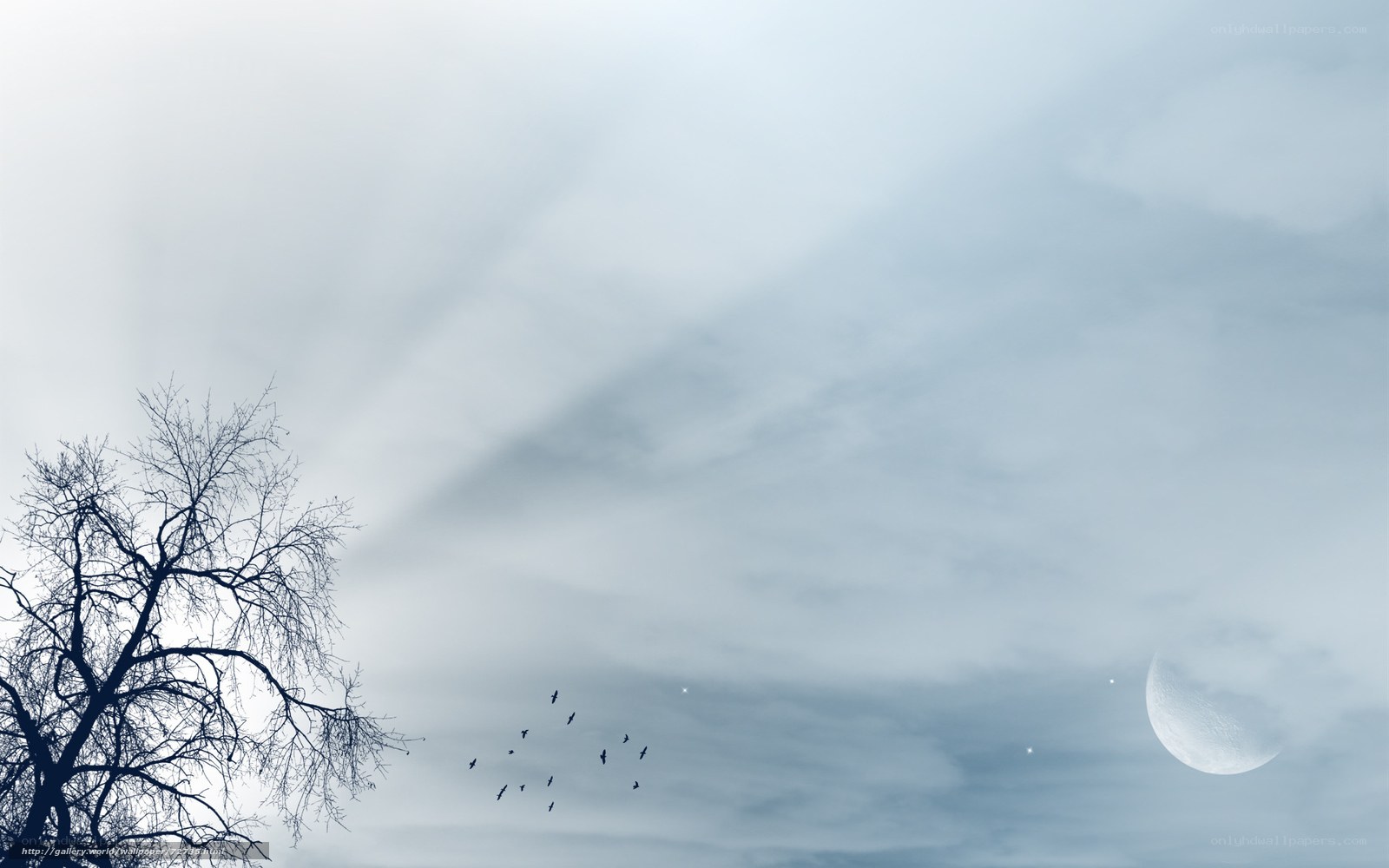 Moonlit sky with birds and tree
