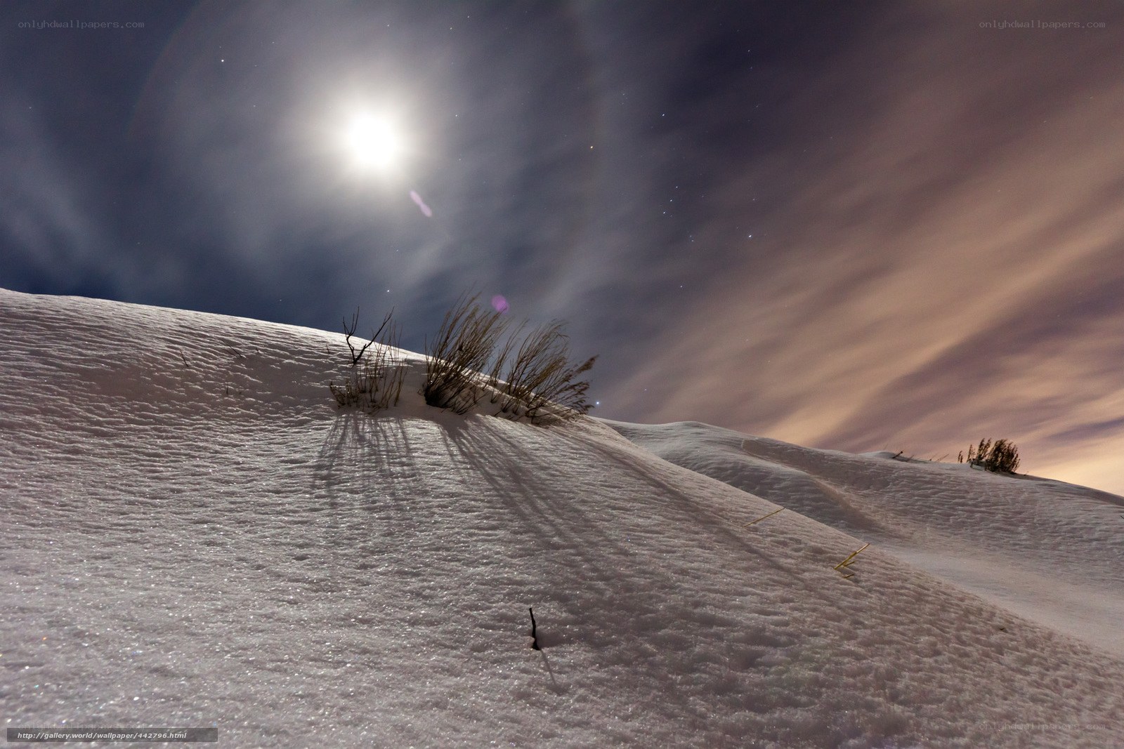 Moonlit snow dunes at night