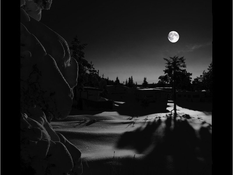 Moonlit snow scene at night
