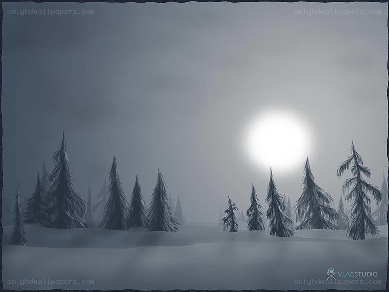 Moonlit snowy forest