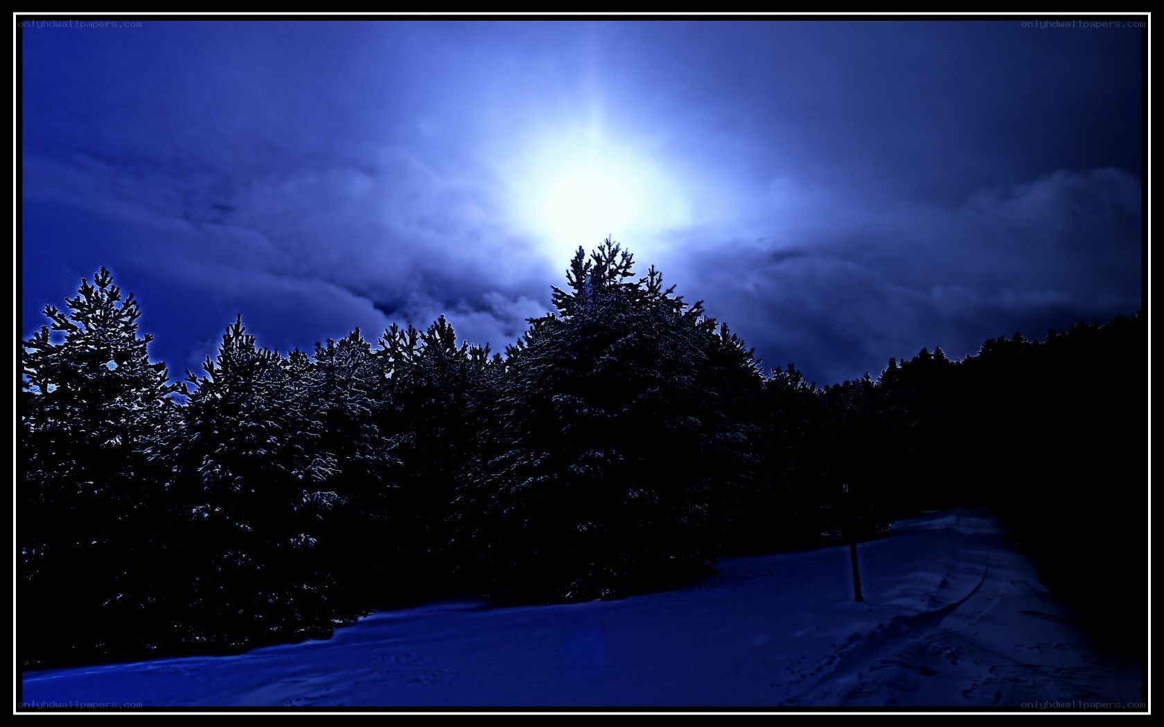 Moonlit snowy forest path