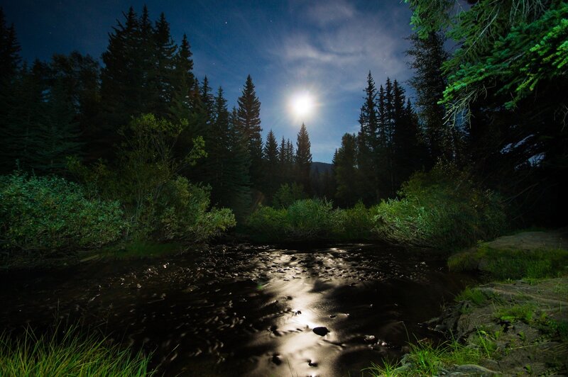 Moonlit Stream in Forest