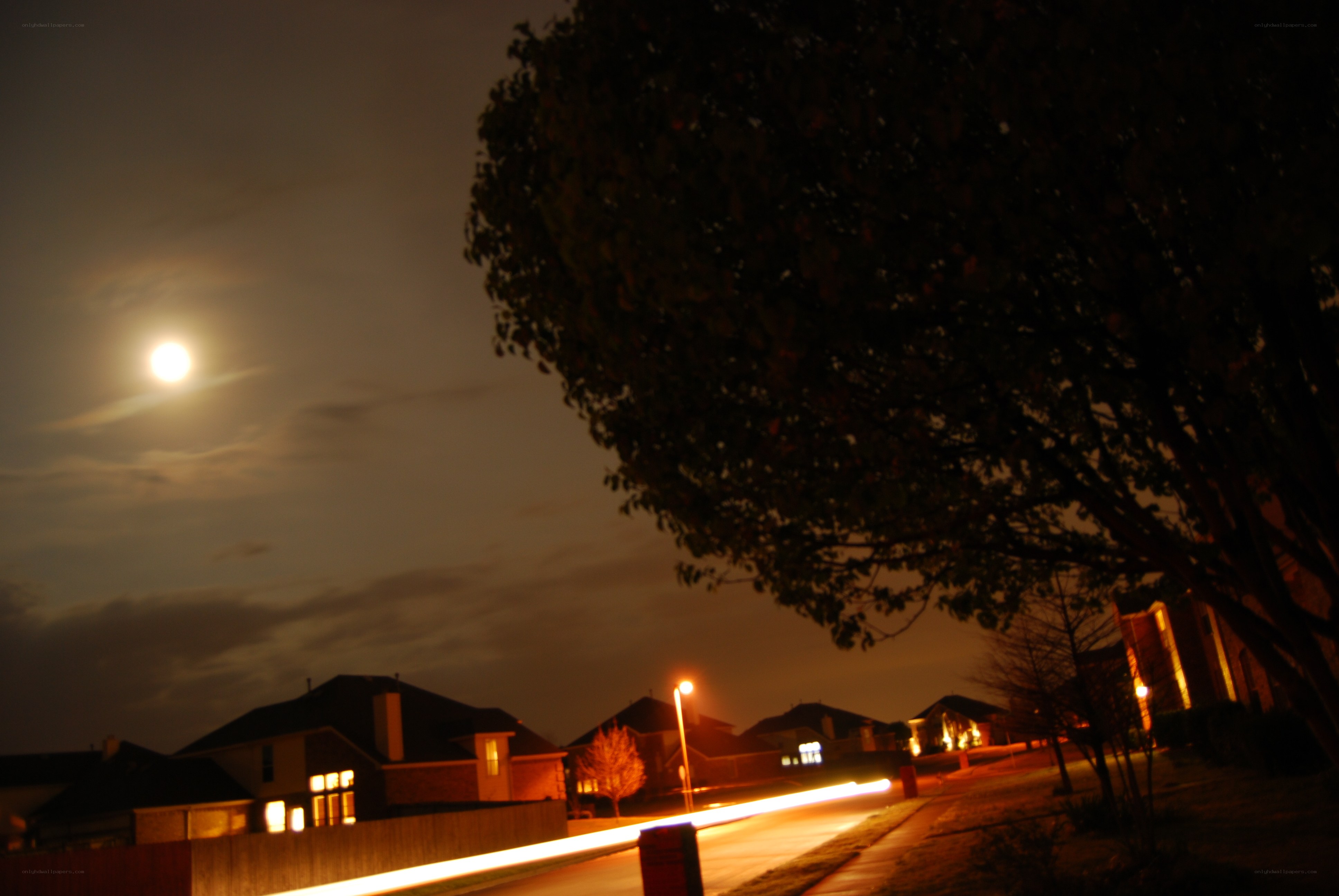 Moonlit suburban street at night