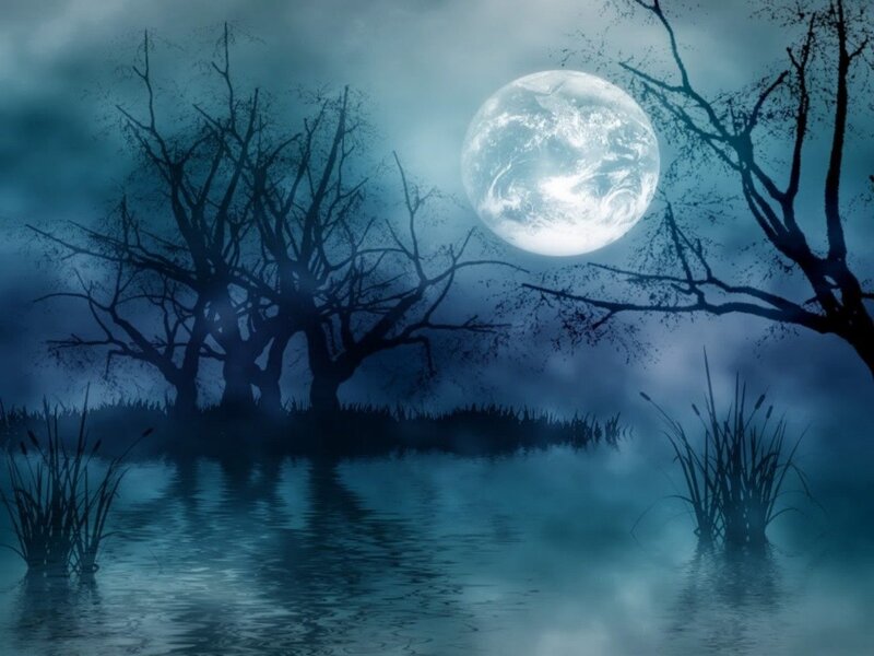 Moonlit Swamp at Night — Blue