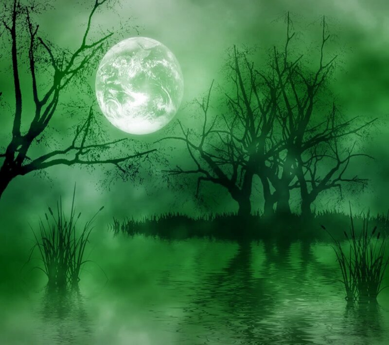 Moonlit Swamp Scene