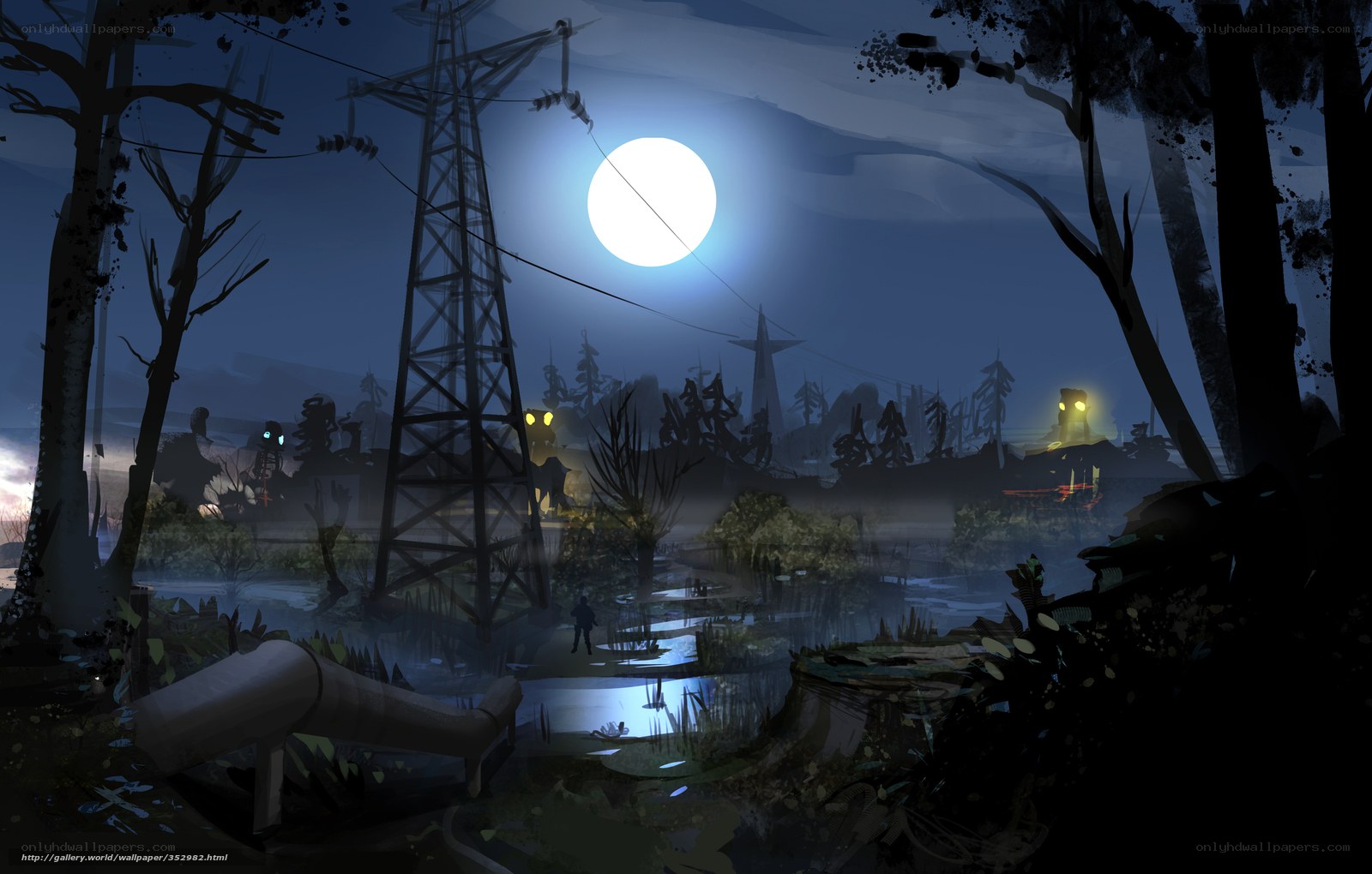 Moonlit swamp with power lines