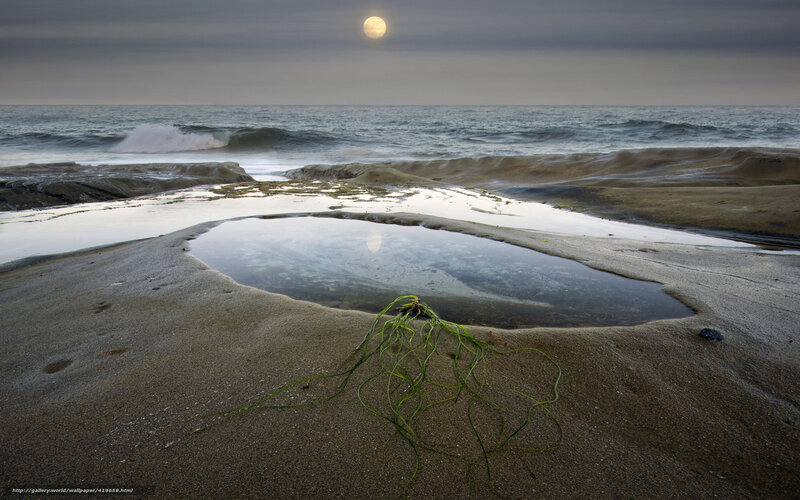 Moonlit tide pool at beach