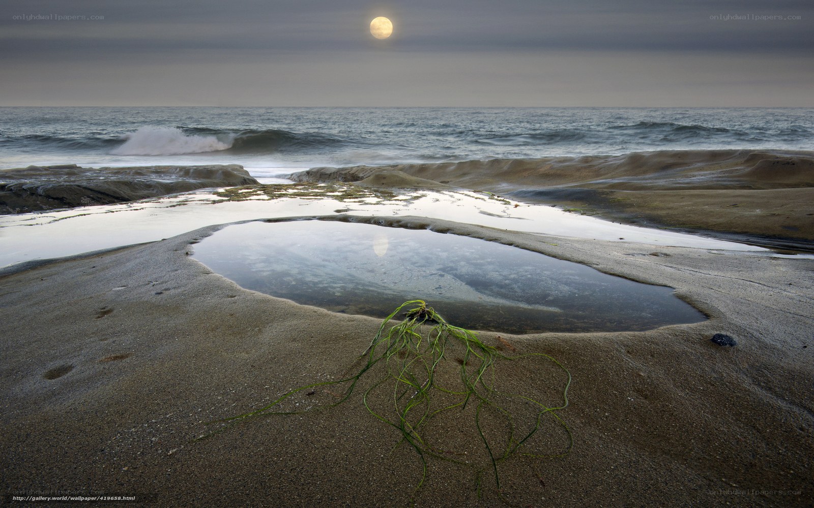 Moonlit tide pool at beach