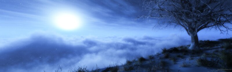 Moonlit tree above clouds