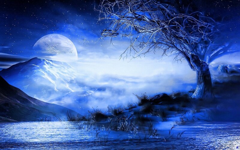 Moonlit Tree by Lake