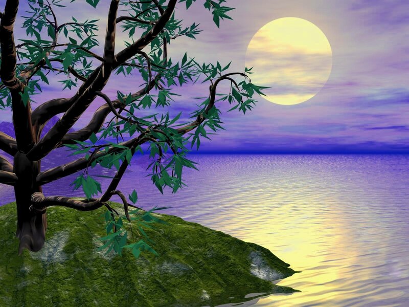 Moonlit tree by the sea