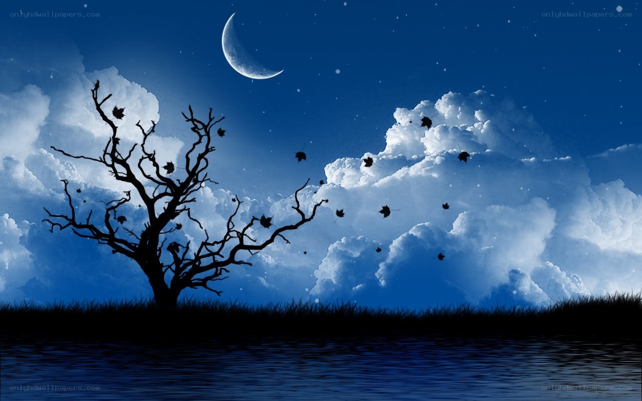 Moonlit tree by the water