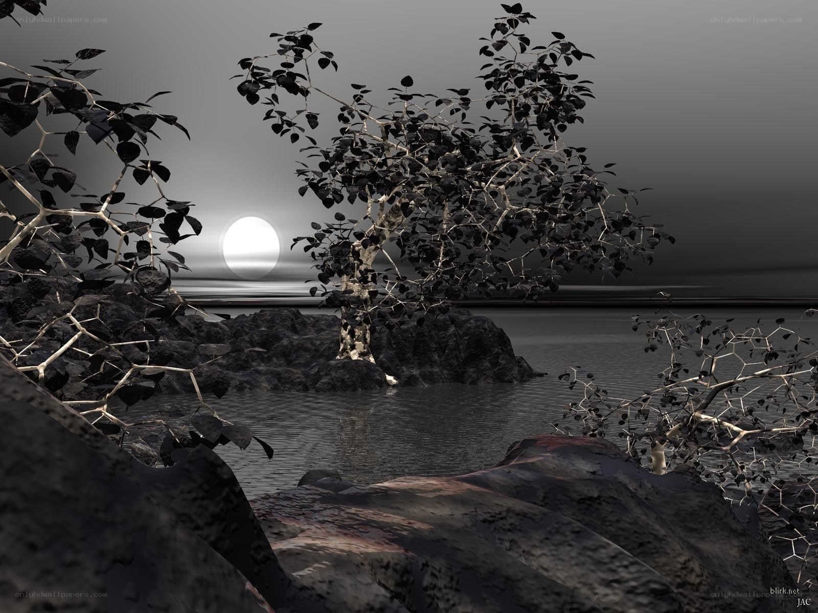 Moonlit tree by the water