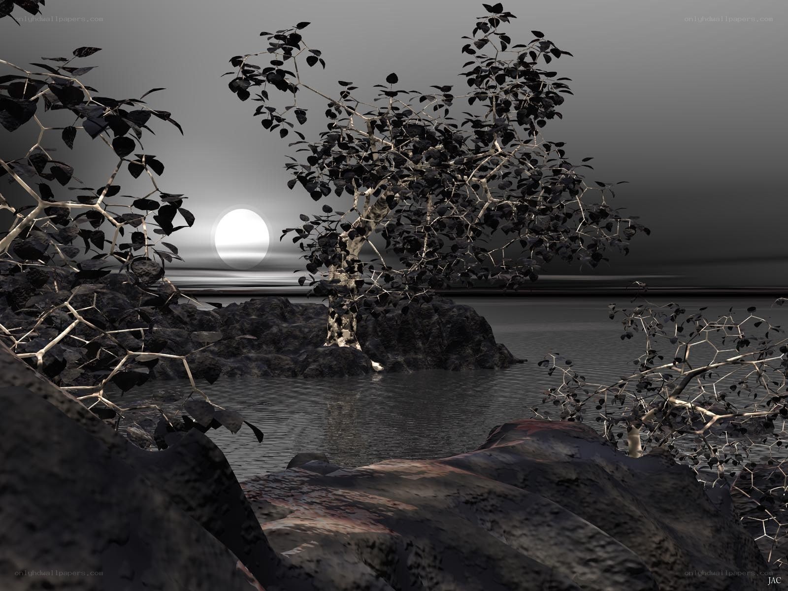 Moonlit tree by the water