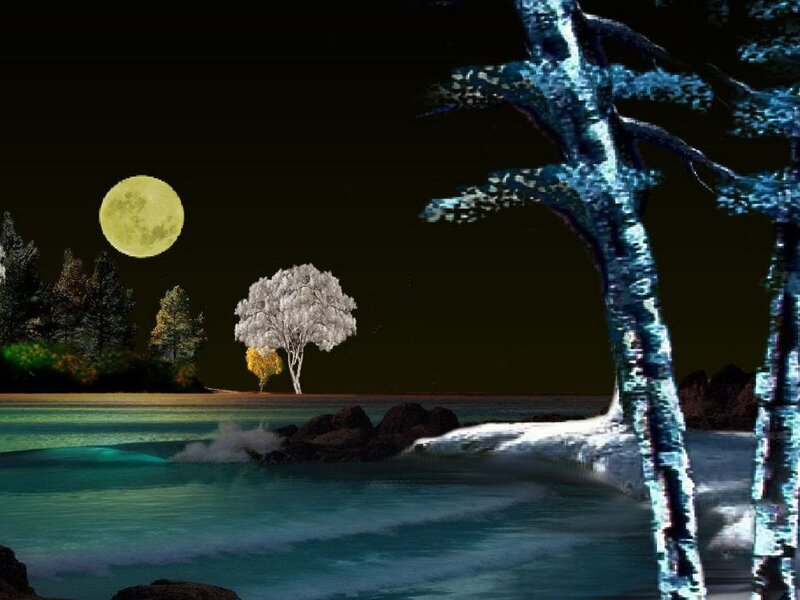 Moonlit Tree by Water