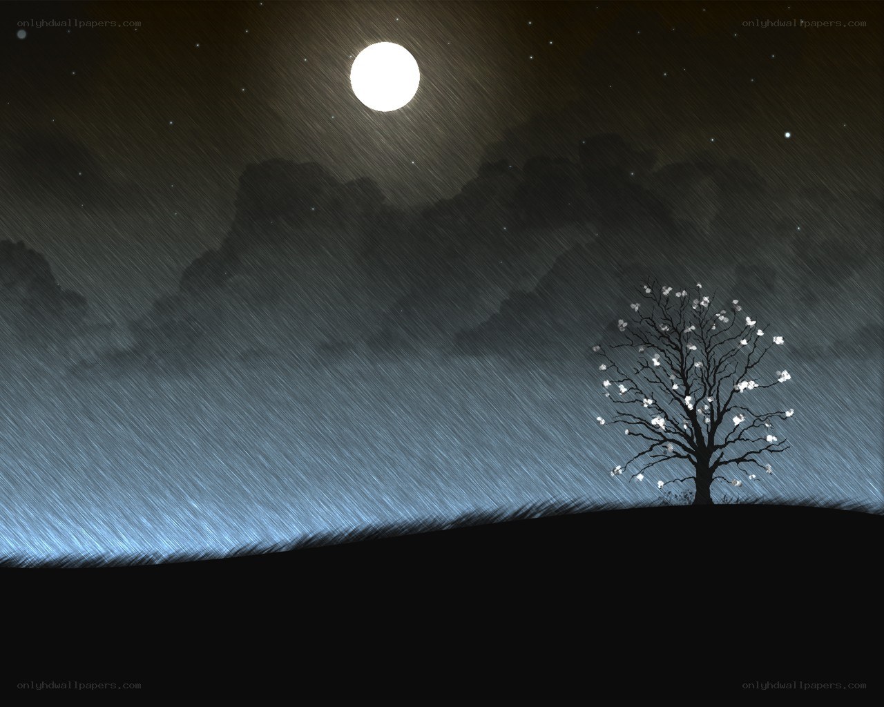 Moonlit tree in rain