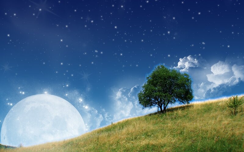 Moonlit tree on a hill