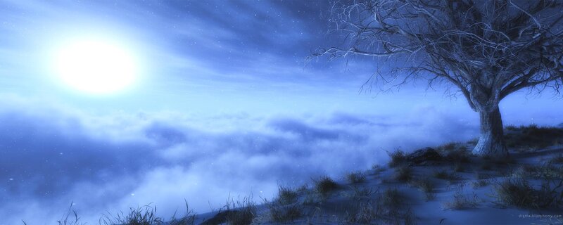 Moonlit tree on snowy cliff