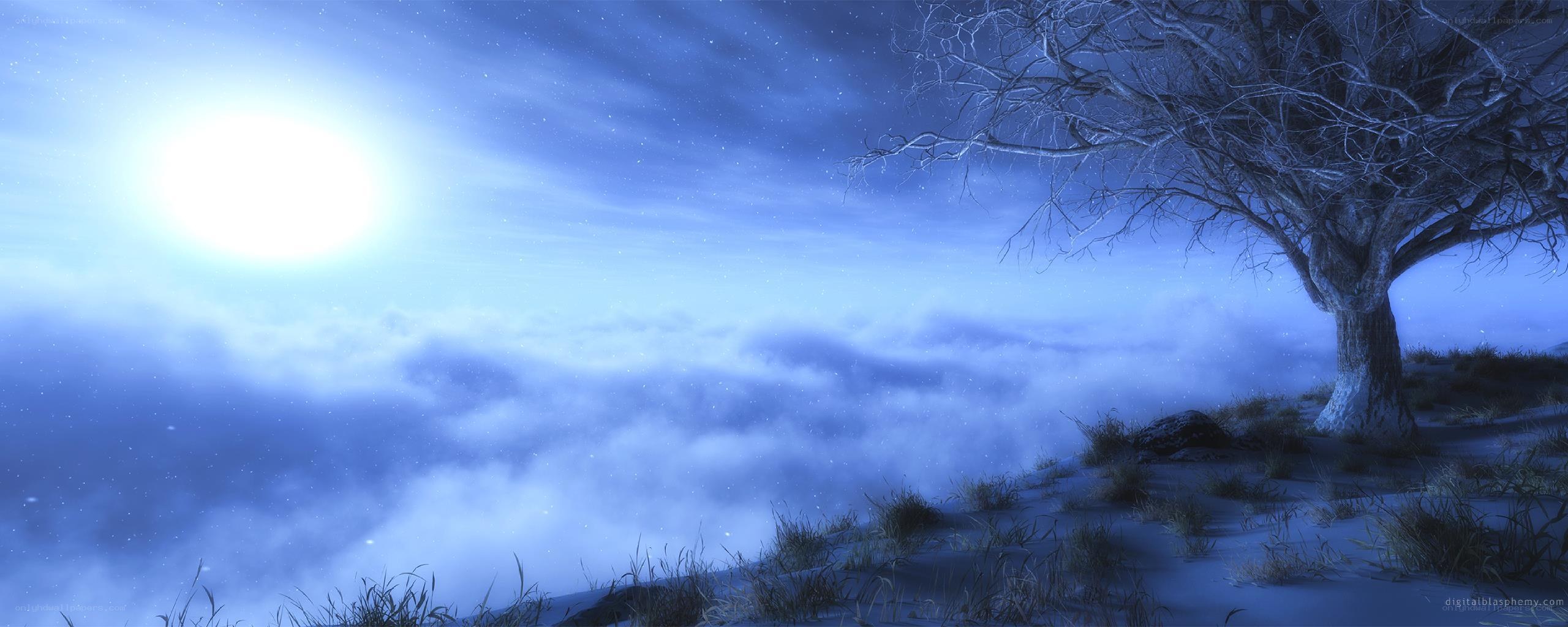 Moonlit tree on snowy cliff
