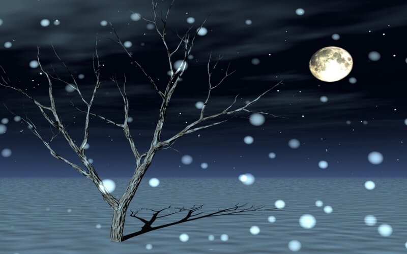 Moonlit tree on water