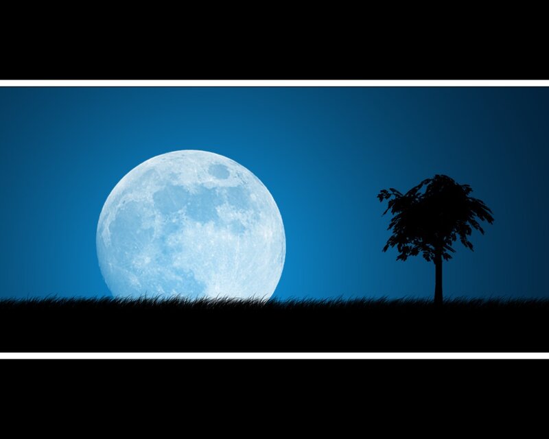 Moonlit tree silhouette