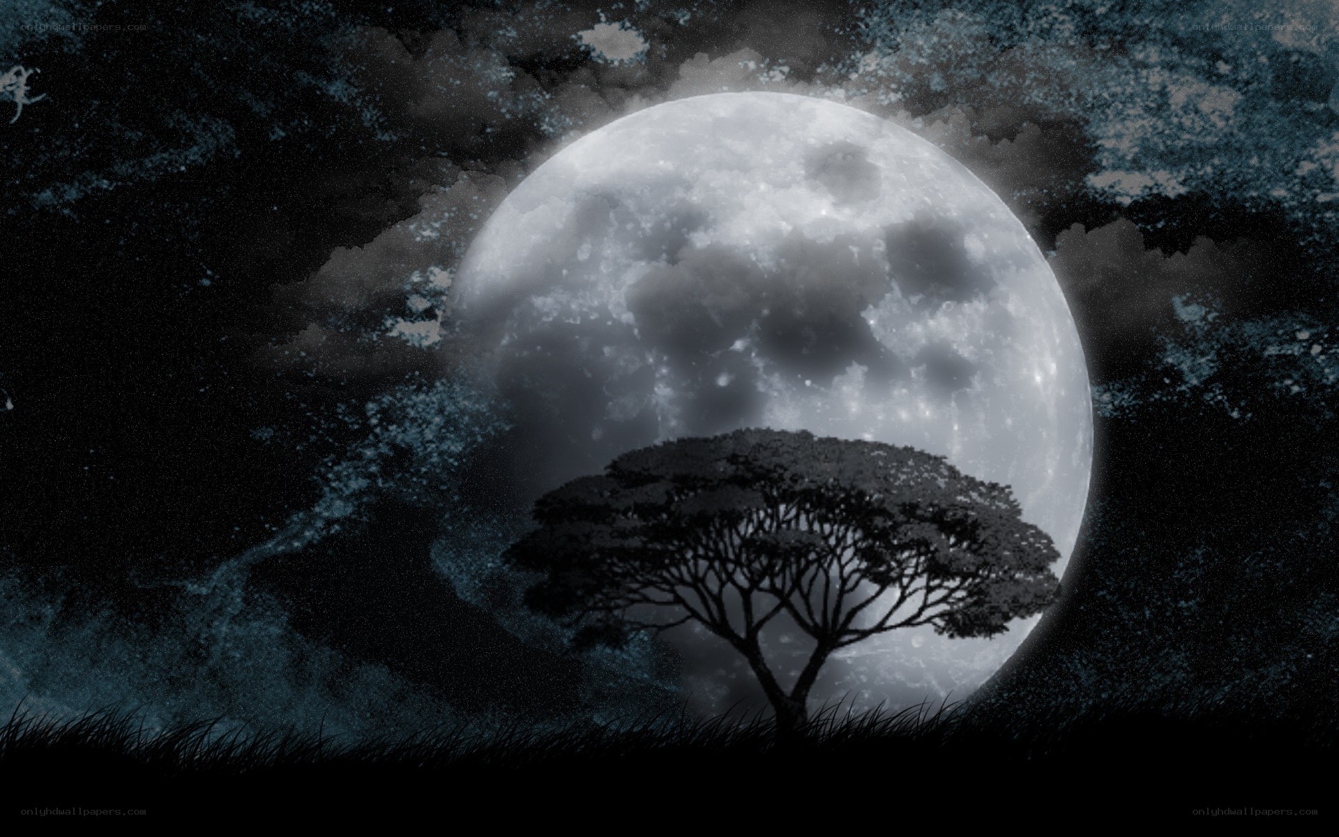 Moonlit tree silhouette