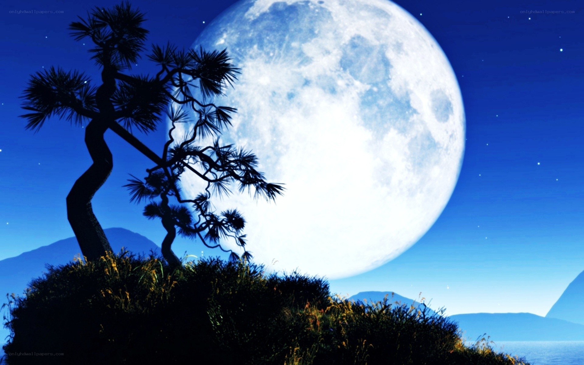 Moonlit tree silhouette