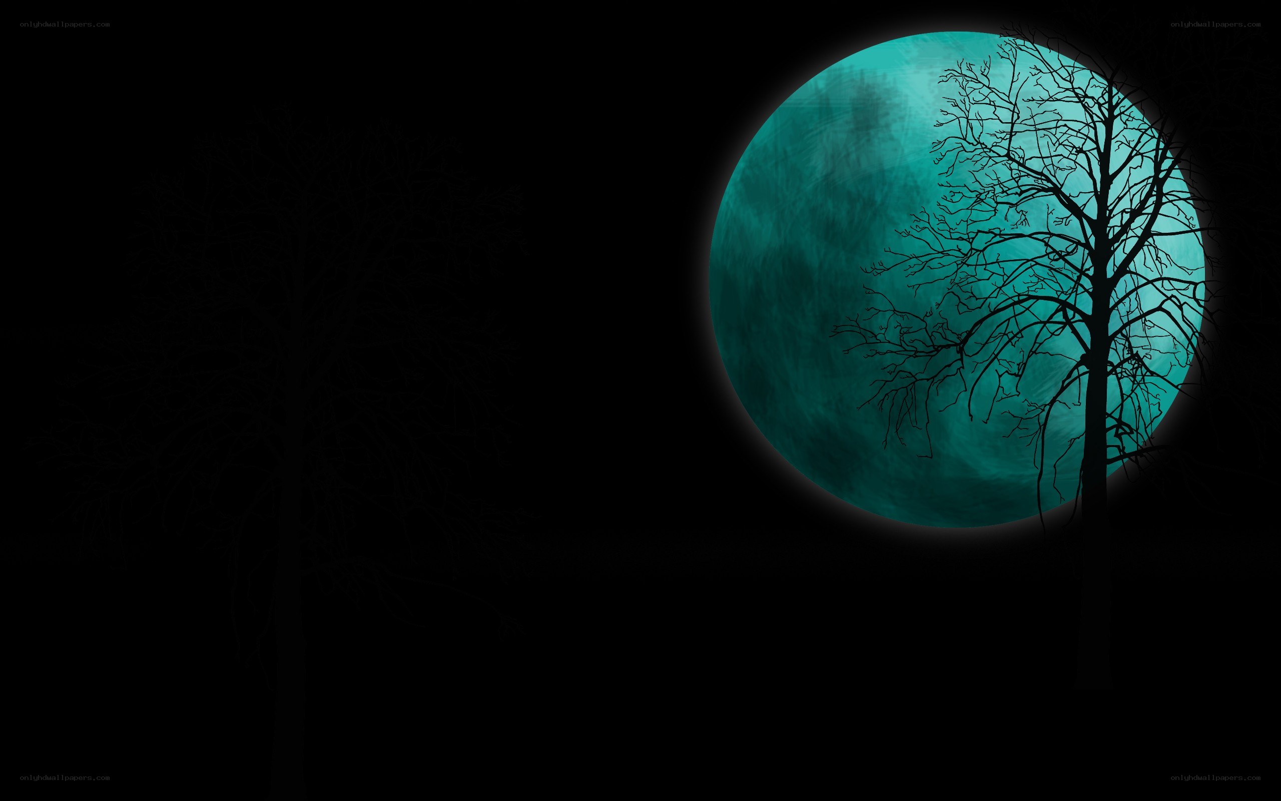 moonlit tree silhouette