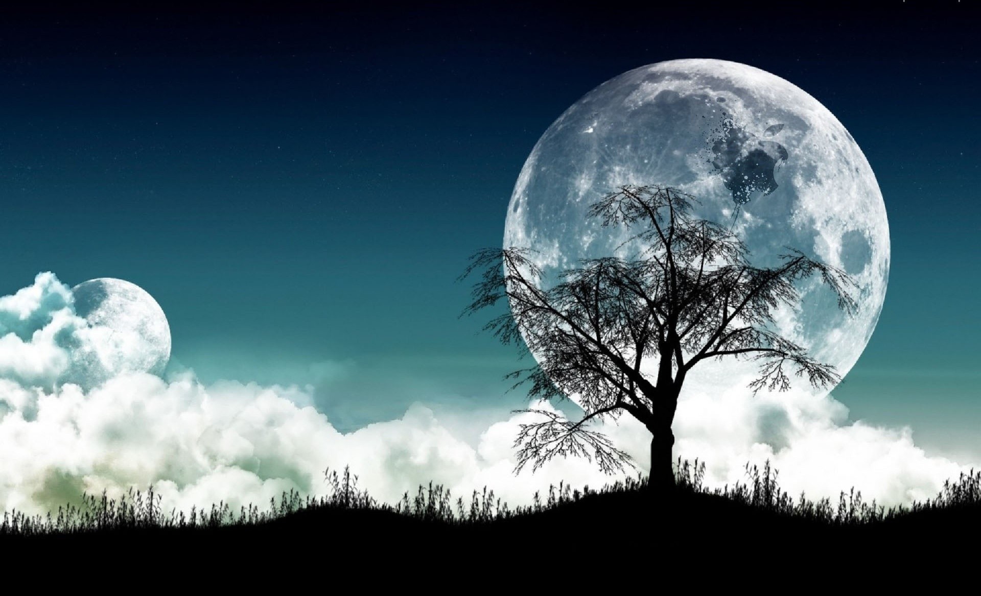 Moonlit tree silhouette