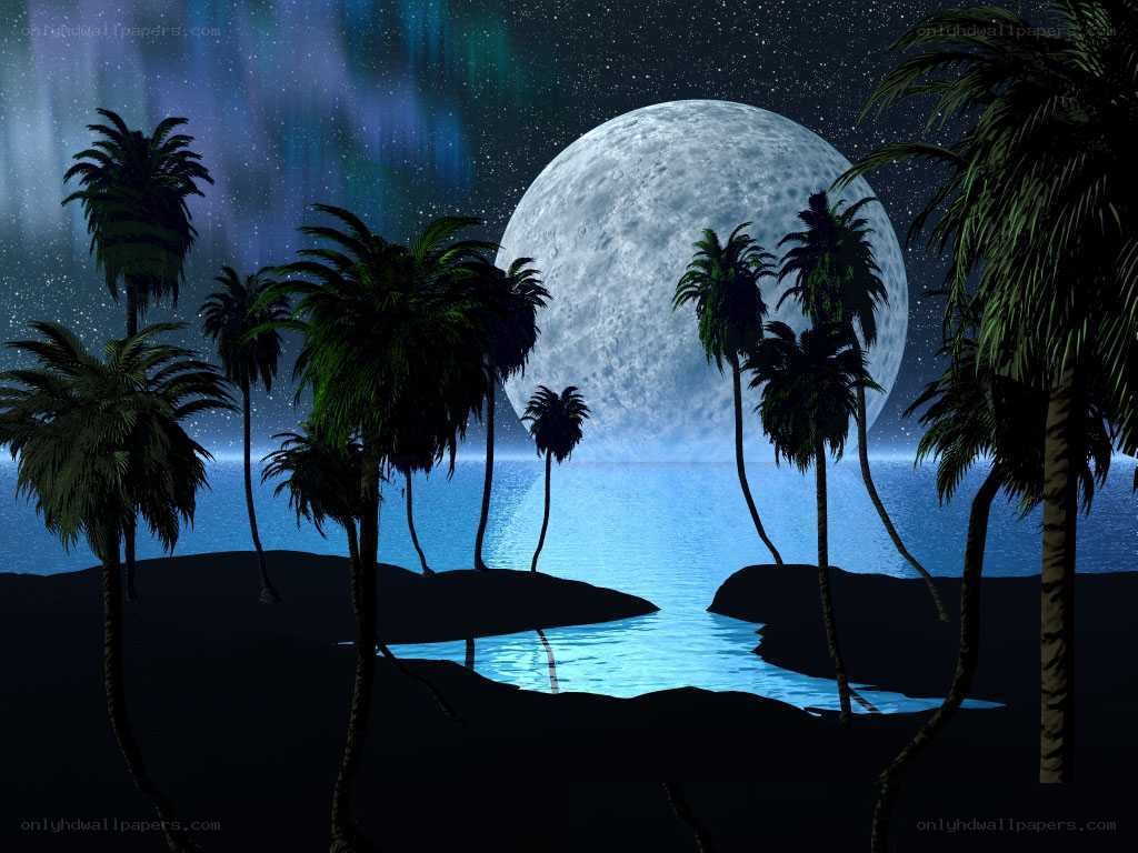 Moonlit tropical beach at night