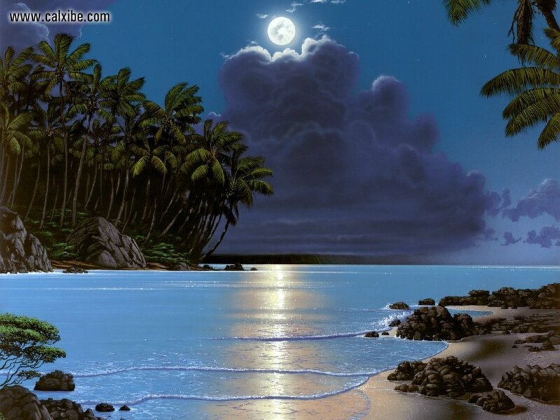 Moonlit tropical beach at night
