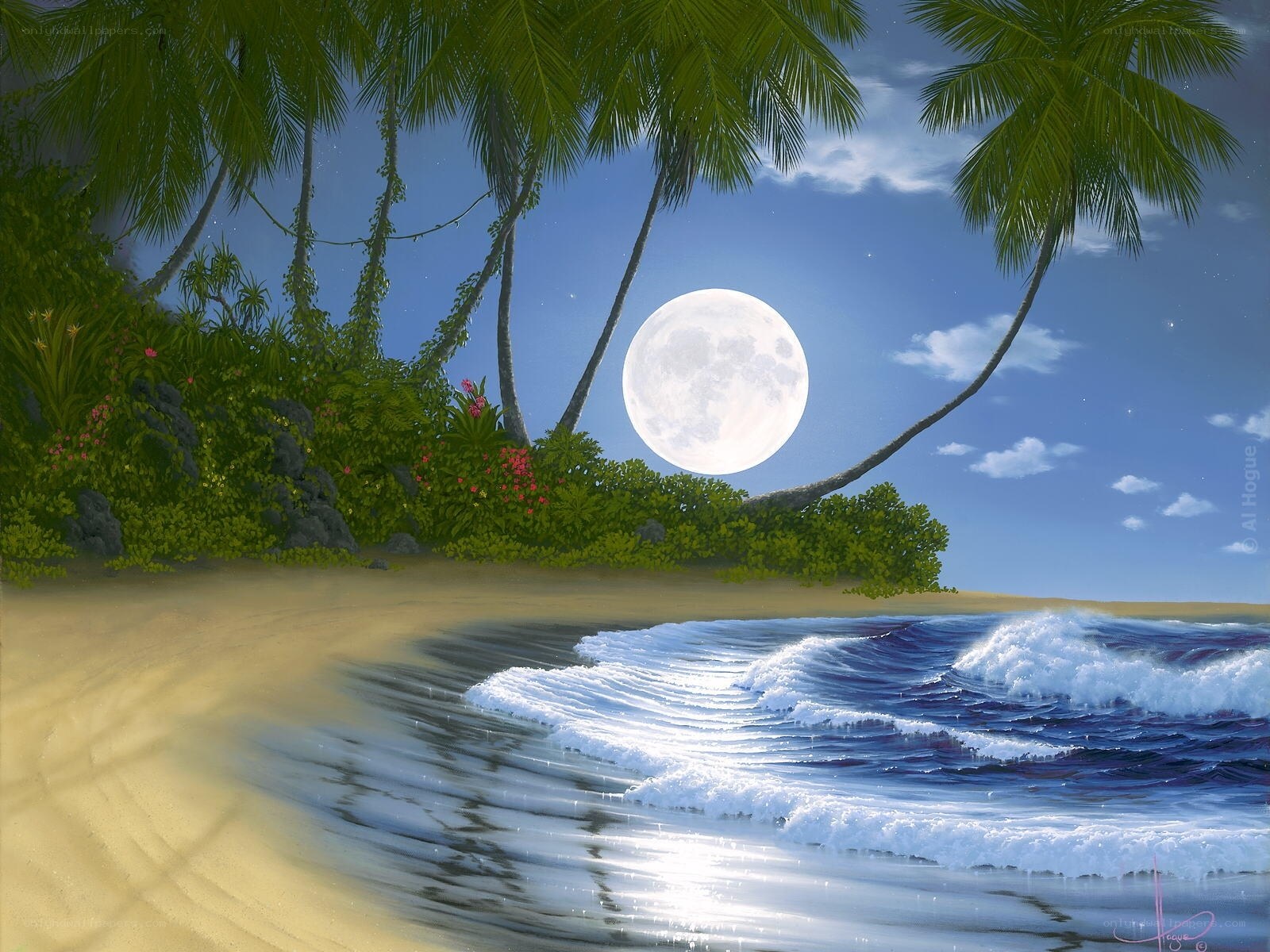 Moonlit tropical beach at night