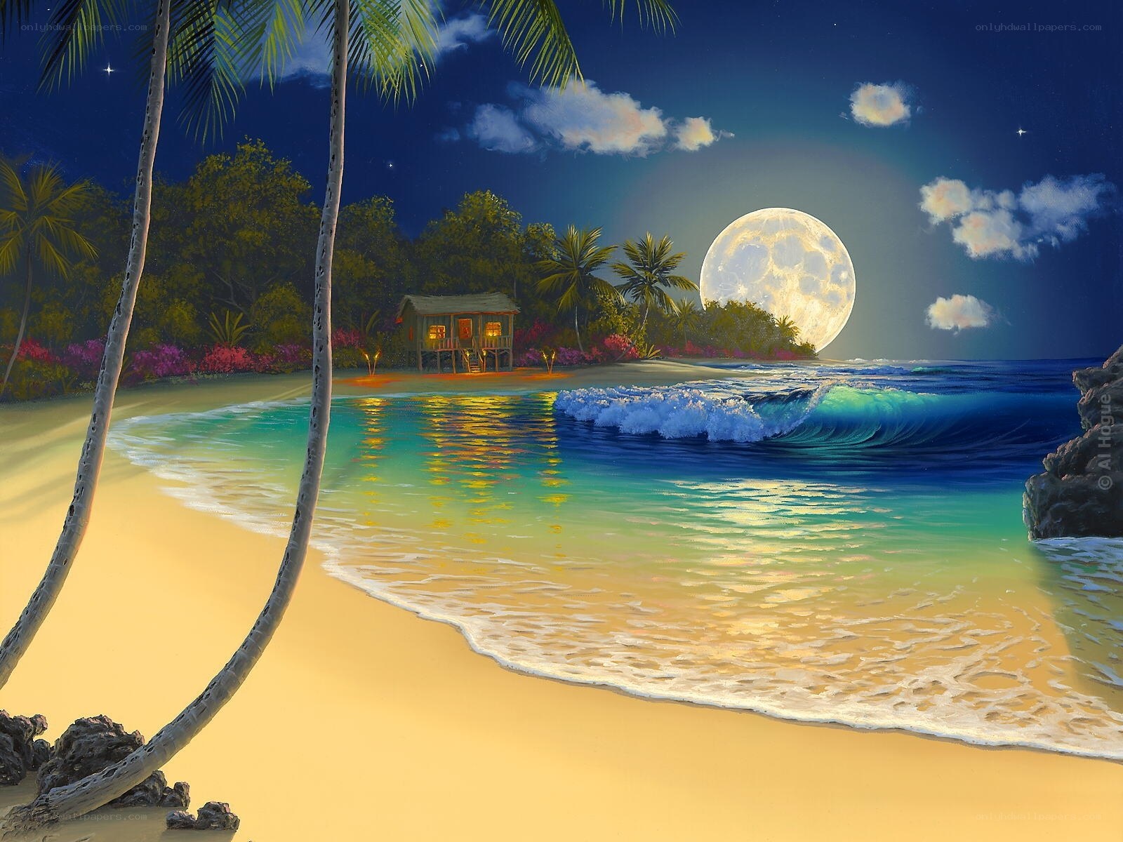 Moonlit tropical beach at night