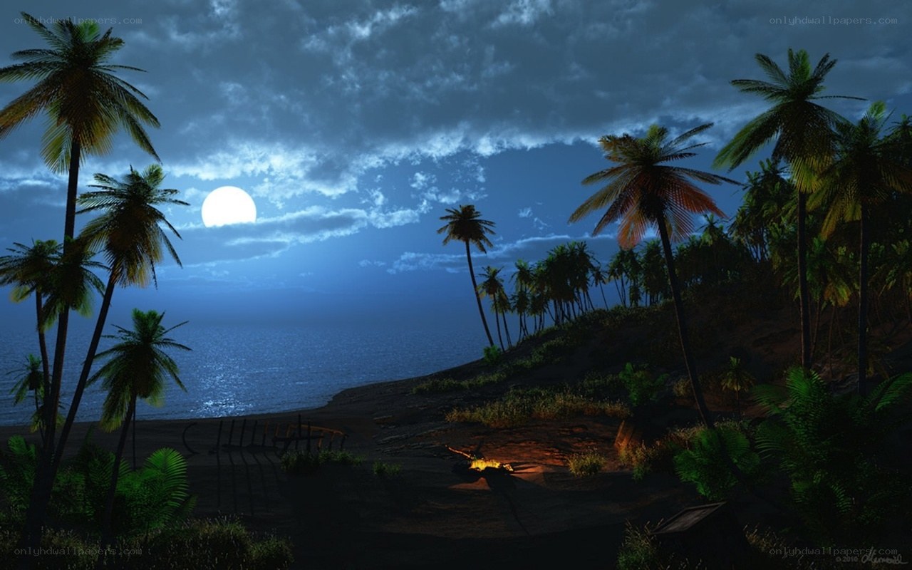Moonlit tropical beach at night