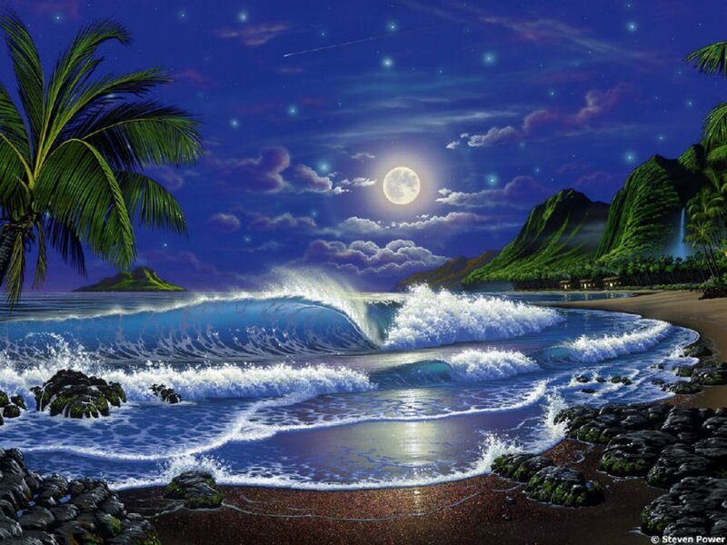 Moonlit tropical beach at night