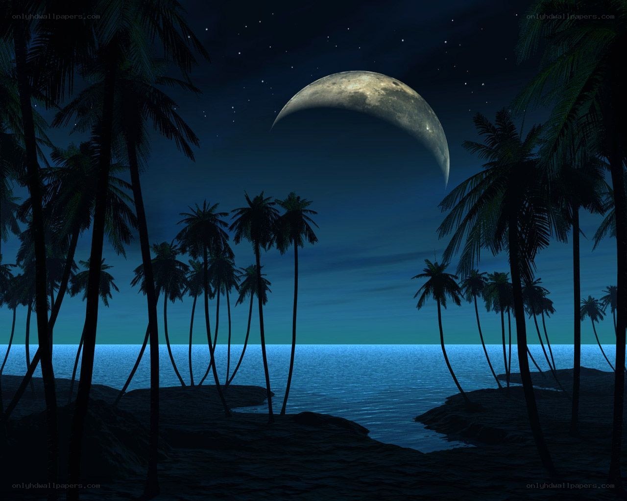 Moonlit tropical beach at night